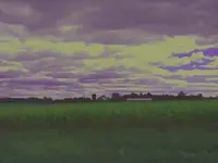 study in color.webp