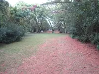 IMG_0128.webp IMG_0128.webp