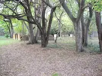 IMG_0136.webp IMG_0136.webp