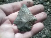 !cid__1008101319a.webp