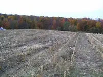 OCT 18TH FARM FIELD HUNT WITH GARY 004 [].webp