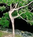 avatar_49116.webp