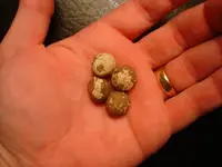 rifle balls.webp