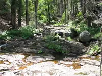 180_8061.webp