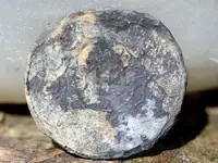 NC FINDS 9-11 002.webp