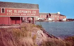 BluePoint-Co.webp