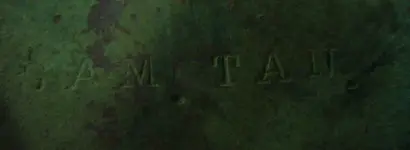 Sam Tan resized 3.webp