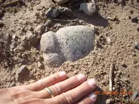 DSCN0179.webp