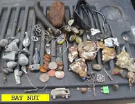 825NUT.webp