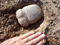DSCN0180.webp
