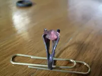 Ring with stone2.webp