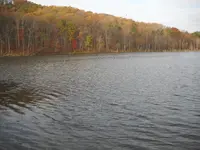DSCN0966.webp