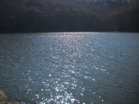 DSCN0984.webp