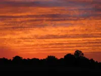 sunrise2.webp