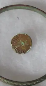 Rev War button front.webp