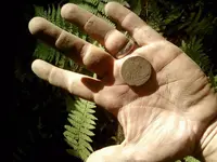 20100911165505[1].webp