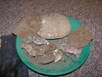 100_2685.webp