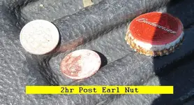 94NUT.webp