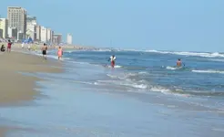 9213.webp