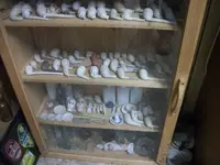 100_0372.webp