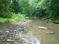Creek1.webp