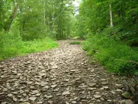 Creek2.webp