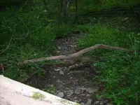 Creek 3.webp