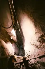 Main Fissure VP.webp