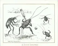 cricket.webp