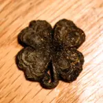 NC FINDS 9-21 010.webp