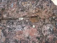 IMGP1072.webp
