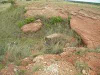 DSCN0510.webp