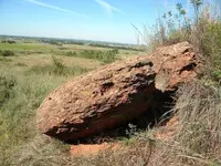 DSCN0520.webp