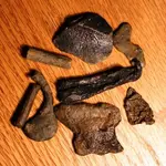 NC FINDS 9-21 014.webp