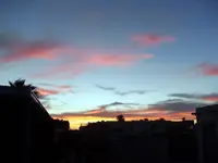 SDC10981.webp