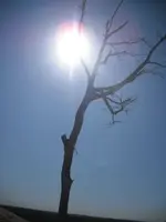 DSCF0077.webp