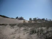 DSCF0064.webp