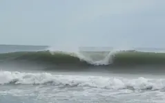 WAVE1.webp