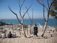 DSCF0079.webp