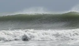 WAVE2.webp