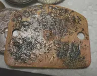 10-29 dog tag.webp