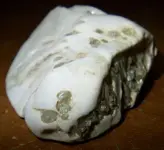 rock (2).webp