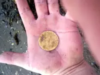 GOLDCOPPER2.webp