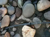 500_00548675[1].webp