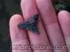 100_00548679[1].webp