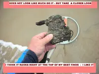OFS0429TICK1.webp
