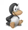 avatar_20613.webp