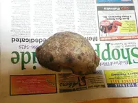 paper weight 003.webp
