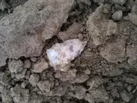 800_00548709[1].webp