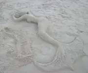 9113.webp